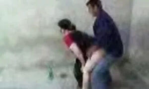 المكونات الشرج ناضجة ...