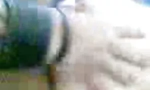 الملايو العمل 5 على  ...